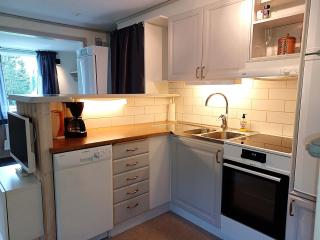 Pet-friendly home for 5 in Central Bjornen - 5