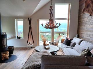 Ski-in House for 9 with Sauna - 0