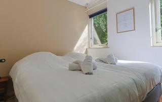 Natural cottage in Diever - 9