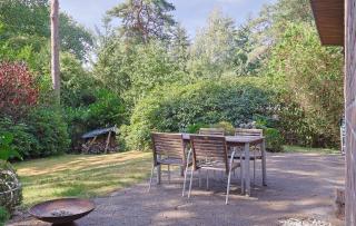 Natural cottage in Diever - Diever - 0