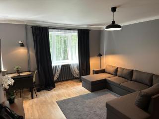 City Center apartment in Jelgava - 0