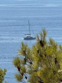 Villa Vinea Privata Hvar - 8
