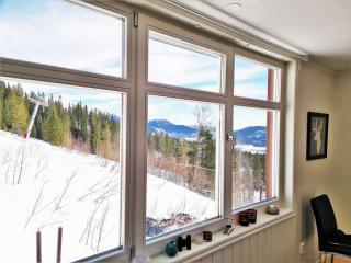 Spacious Ski-In Home for 10 with Sauna - 6
