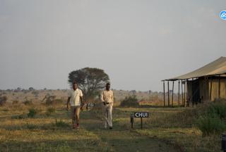 Adimu Mara Camp - 2