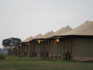 Adimu Mara Camp - 1