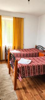 B&B in Alaverdi - 5