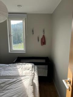 Ski-in Flat for 8 with Sauna - 4