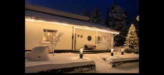 Arctic Circle Home for Winter Holiday - 9