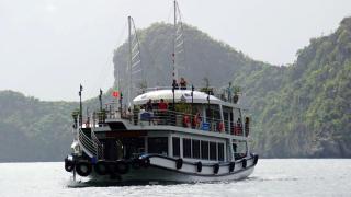 1404, Building 1, Ocean Sky Forest - Flamingo Cat Ba - 2