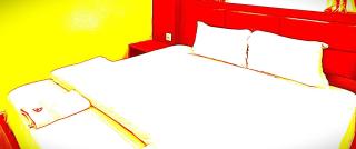 The Hill Top Hotel And Resort In Manali - 5
