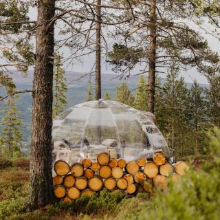 Glass-igloo with spectacular views of majestic mountains - 1