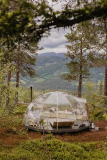 Glass-igloo with spectacular views of majestic mountains - 4