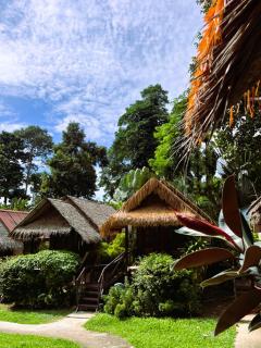 Jungle Garden - 6