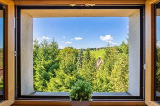 Chata Zelenka v Krušných horách - Ferienhaus im Erzgebirge - 8