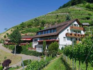 Transylvania House Glottertal - 5