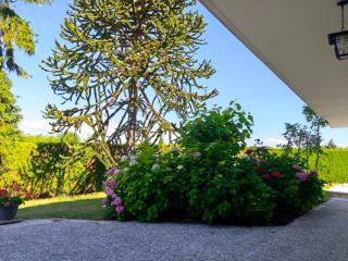 Appartement, rez de jardin avec piscine - 1