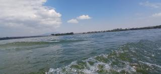 Buffalo Boat Safaris - 7