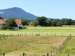 Farmhouse 1567 - Die Ranch - 5