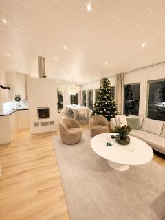Arctic Circle Home for Winter Holiday - 8