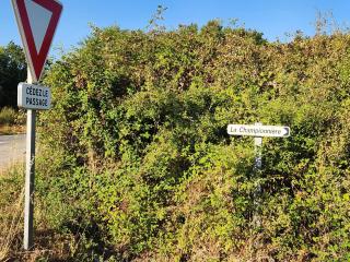 Gite Privatif Nature Proche Nantes T3 - 7