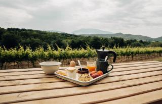 Domaine Bernard - Parcel Tiny House - Tiny House au coeur des vignes face au Mont Ventoux MAE-5213 - 5