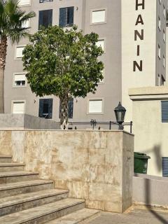 Appartement haut standing Aouina - 2
