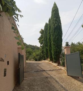 Les Cyprès - 9