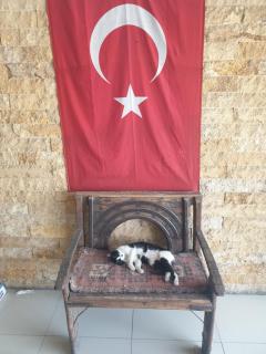 Hera city hotel - 4