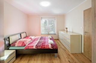 Stay in Piešťany Business 2BR - 6