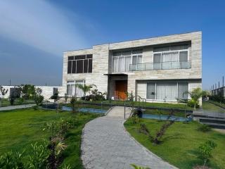 The Dusk Pavilion - 5