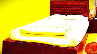 The Mayur In Solan - 8