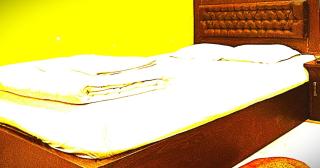 The Mayur In Solan - 4