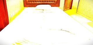 The Mayur In Solan - 1