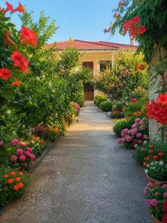 Guest House Antonio - 7