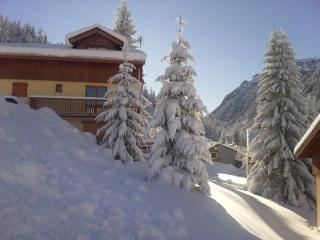 Les Chalets D'arrondaz - Appartement 3 pièces 4/6 personnes 36 m² MAE-2921 - 5