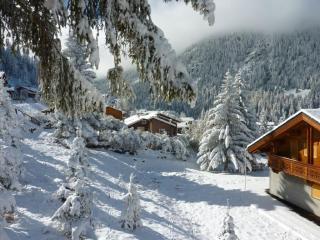 Les Chalets D'arrondaz - Vue exceptionnelle 3 pièces 4/6 personnes MAE-2938 - 1