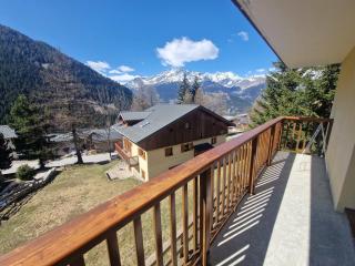 Les Chalets D'arrondaz - Vue exceptionnelle 3 pièces 4/6 personnes MAE-2938 - 8