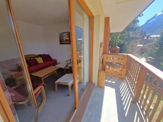 Les Chalets D'arrondaz - Vue exceptionnelle 3 pièces 4/6 personnes MAE-2938 - 3
