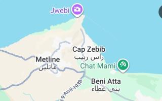 Cap zebib - 8