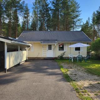 Piharakennus omassa käytössä - 3