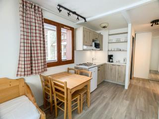 Résidence Rond Point Des Pistes A - Appartement proche des pistes·Balcon MAE-6728 - 1
