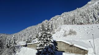 Residence De La Foret - Appartement confortable · Proche des pistes · Casier à ski MAE-7372 - 3