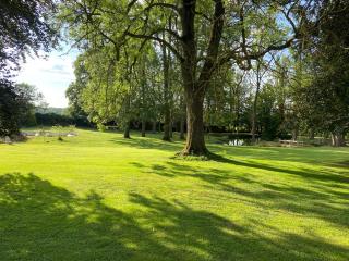 Le Manoir - 3