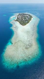 Nemo Maldives - 5
