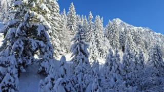 Residence De La Foret - Appartement confortable · Proche des pistes · WIFI gratuit et illimité MAE-7386 - 1