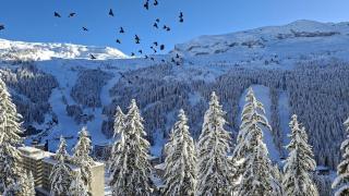 Résidence Pollux - Studio confortable avec cabine · Proche des pistes et des commerces · Balcon MAE-7415 - 5