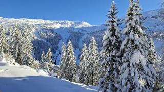 Résidence Pollux - Studio confortable avec cabine · Proche des pistes et des commerces · Balcon MAE-7415 - 3