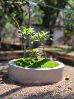 Serene Beautiful Retreat Bunglow - Pavoor House - 3