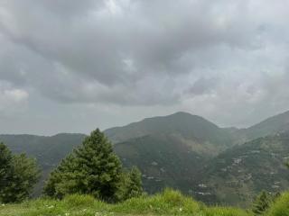 The Royal Arcadian - 4