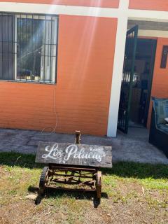 los pelucas - 6